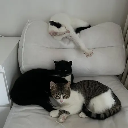 Casa Carriero Apartment *