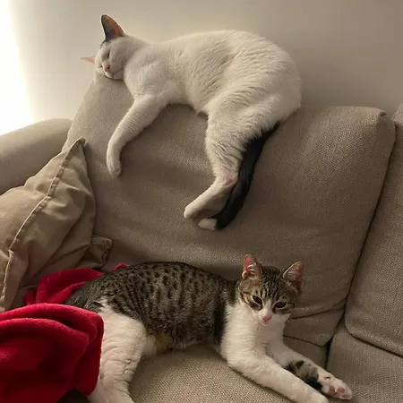 Appartamento Casa Carriero