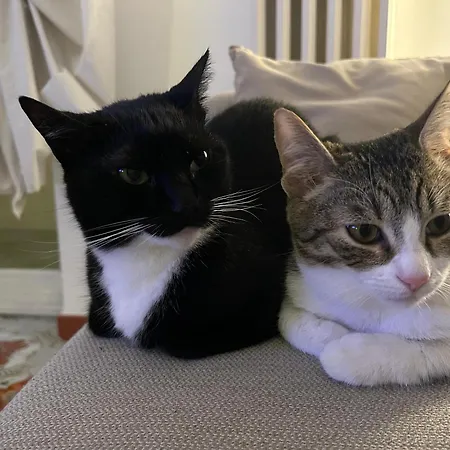 Casa Carriero Appartamento *