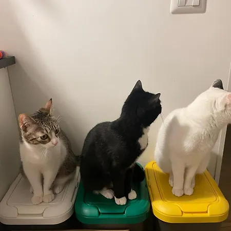 Casa Carriero * Bari